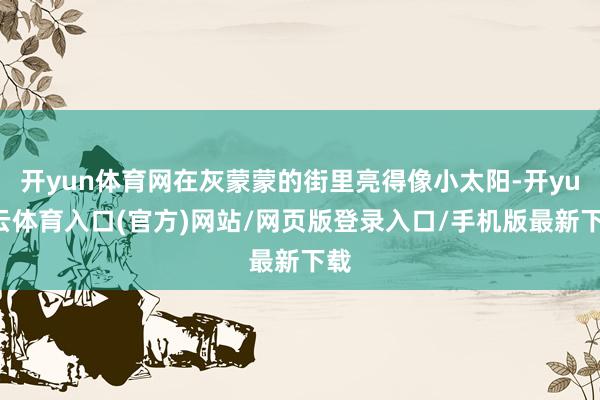 开yun体育网在灰蒙蒙的街里亮得像小太阳-开yun云体育入口(官方)网站/网页版登录入口/手机版最新下载